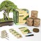 Bonsai Starter Kit - Gardening Gift for Women & Men - Bonsai Tree Growing Garden Crafts Hobby Kits for Adults, Unique DIY Hobbies for Plant Lovers - Unusual Christmas Gifts Ideas, or Gardener Mother